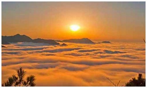 2026最新龙岛异兽礼包兑换码电脑端如何安装？附阵容搭配建议